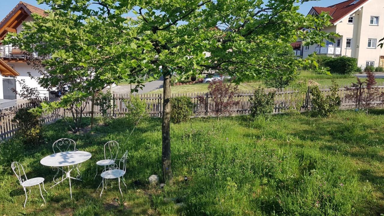 Historisches Fachwerkhaus "Hoher Hirschen" - Stilvolles Studio Und Museales Apartment Mit Romantischem Hof Und Garten Bodman-Ludwigshafen Exterior foto